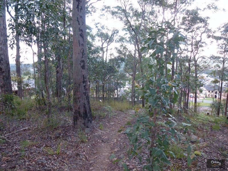 6 Bangalore Place, Cameron Park NSW 2285