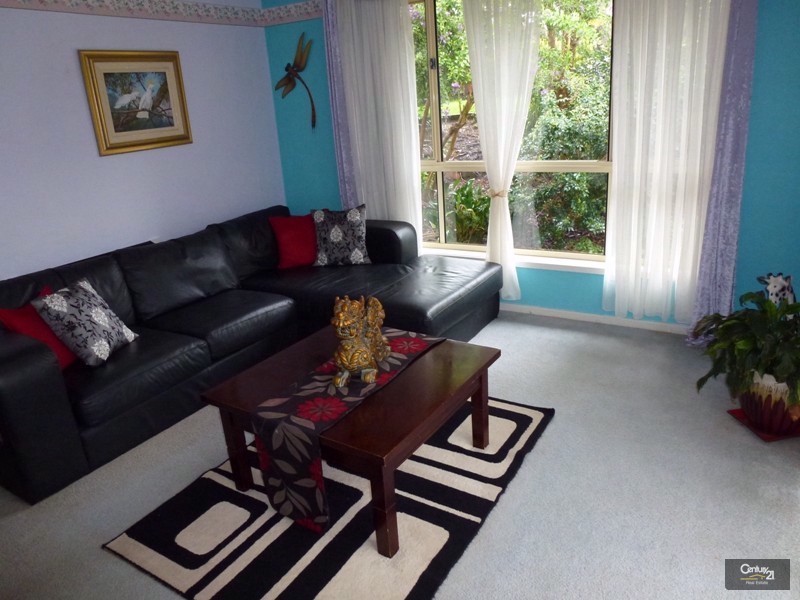 109 Woodford Street, Minmi NSW 2287