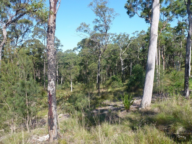 19 Wigeon Chase, Cameron Park NSW 2285