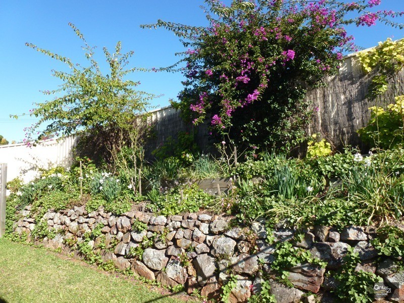 3/20 Croudace Street, Elermore Vale NSW 2287