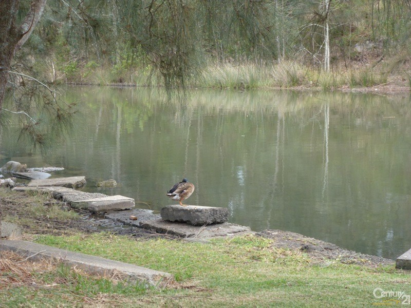 1 Awaba Street, Fassifern NSW 2283