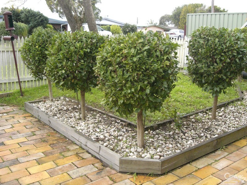 13 Lutana Street, Edgeworth NSW 2285