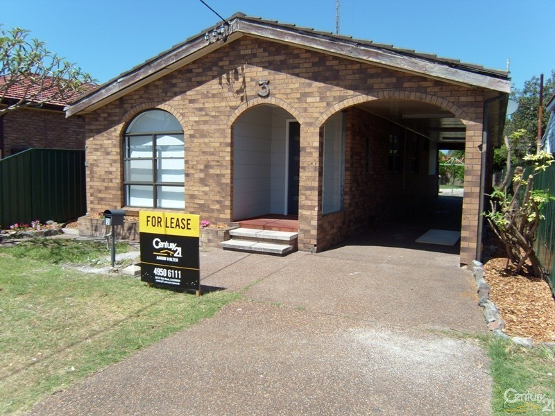 3 Williams Street, Belmont South NSW 2280