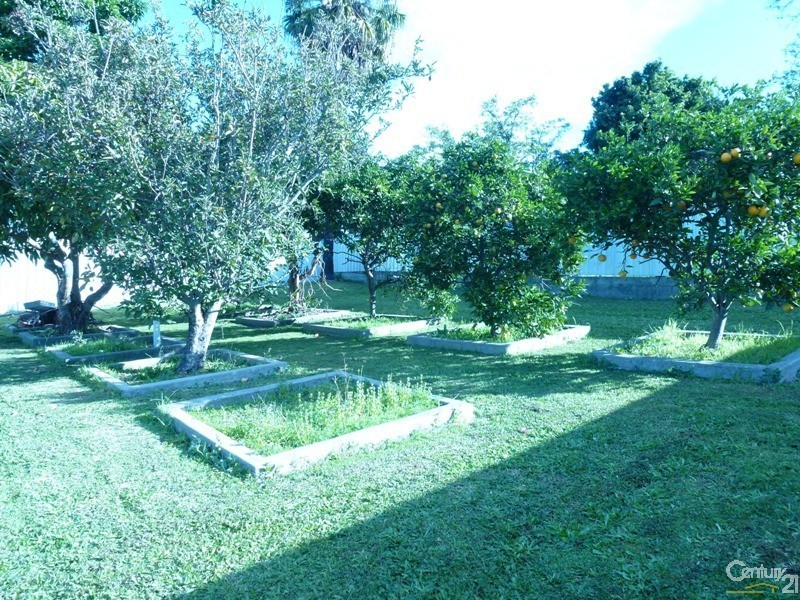 50 Wansbeck Valley Road, Cardiff NSW 2285