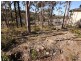 19 Boyne Crescent, Cameron Park NSW 2285