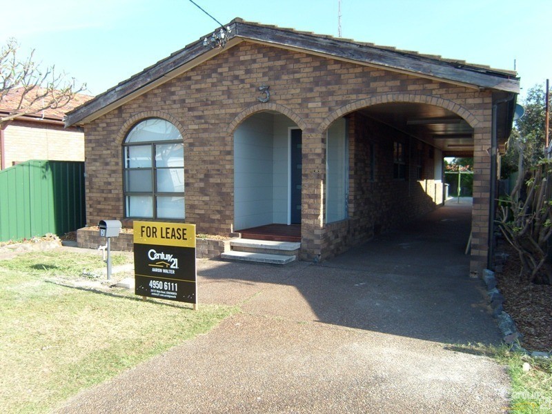 3 Williams Street, Belmont South NSW 2280