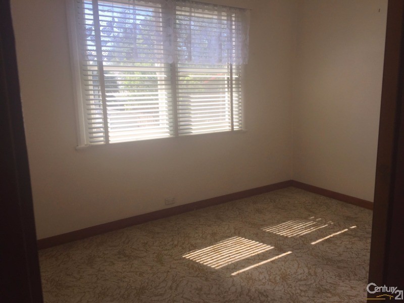 84 Macquarie Road, Cardiff NSW 2285