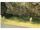 2 Burns Close, Thornton NSW 2322