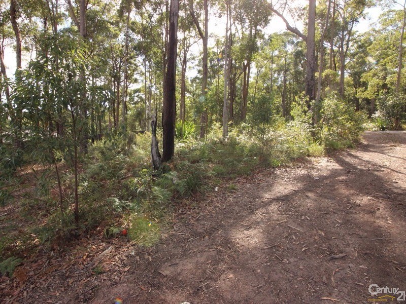 21 Nancy Close, Cameron Park NSW 2285