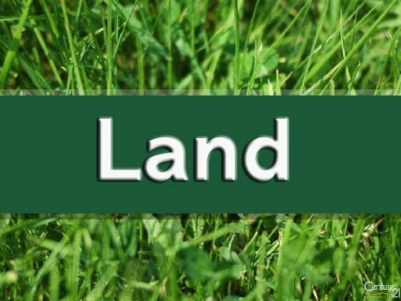 1339 Clarencetown Road, Seaham NSW 2324