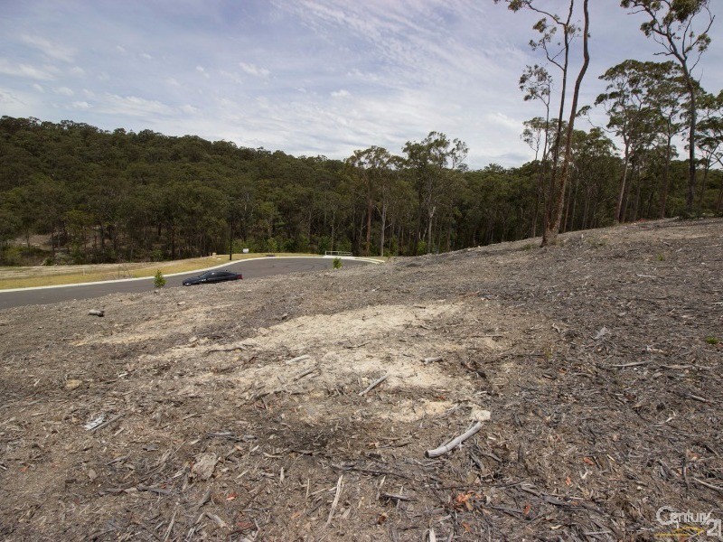 8 Falster Ridge, Cameron Park NSW 2285