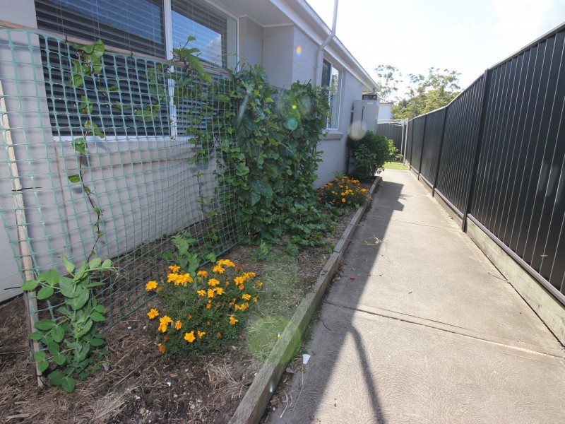 172 Northlakes Drive, Cameron Park NSW 2285