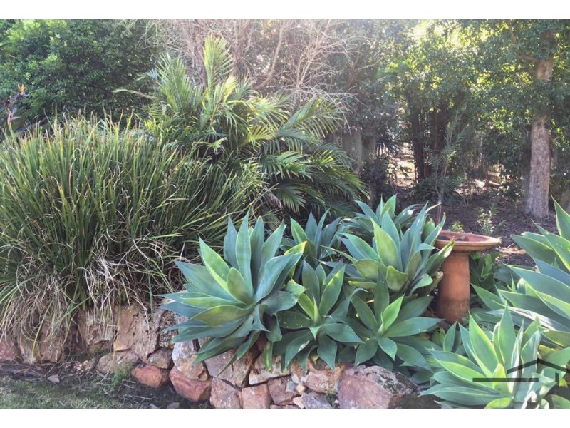 59 Nelson Street, Barnsley NSW 2278