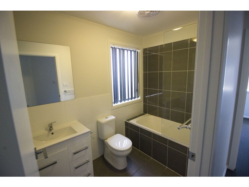 17/49 Mawson Street, Shortland NSW 2307