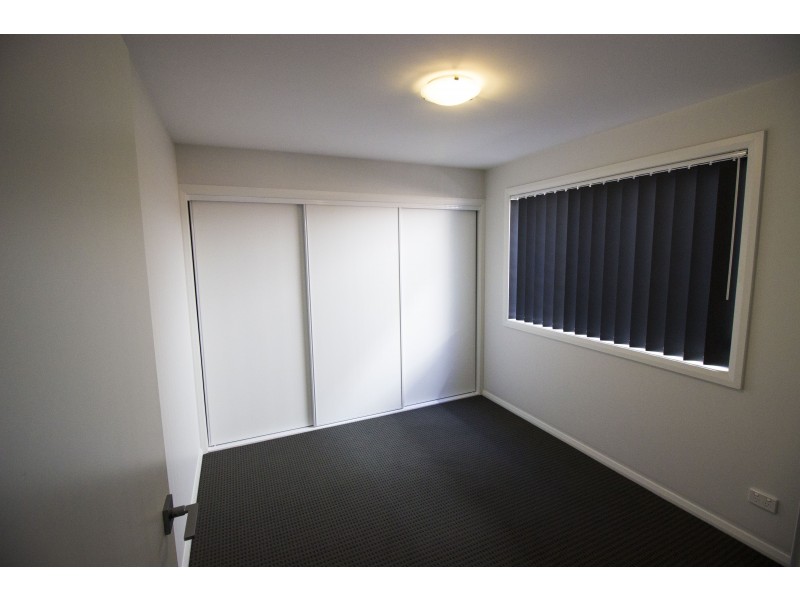 17/49 Mawson Street, Shortland NSW 2307