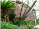 38a Church Street, Minmi NSW 2287