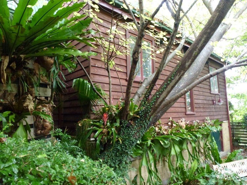 38a Church Street, Minmi NSW 2287