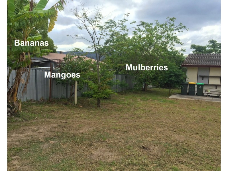 26 Fegan Street, West Wallsend NSW 2286