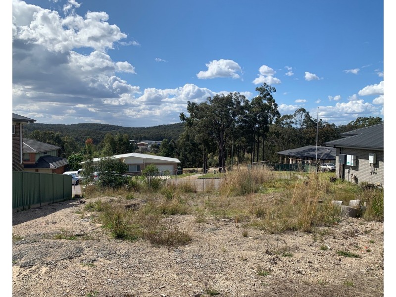 29 Cockatiel Street, Toronto NSW 2283