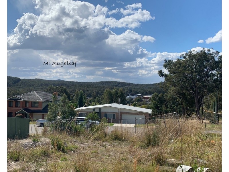 29 Cockatiel Street, Toronto NSW 2283