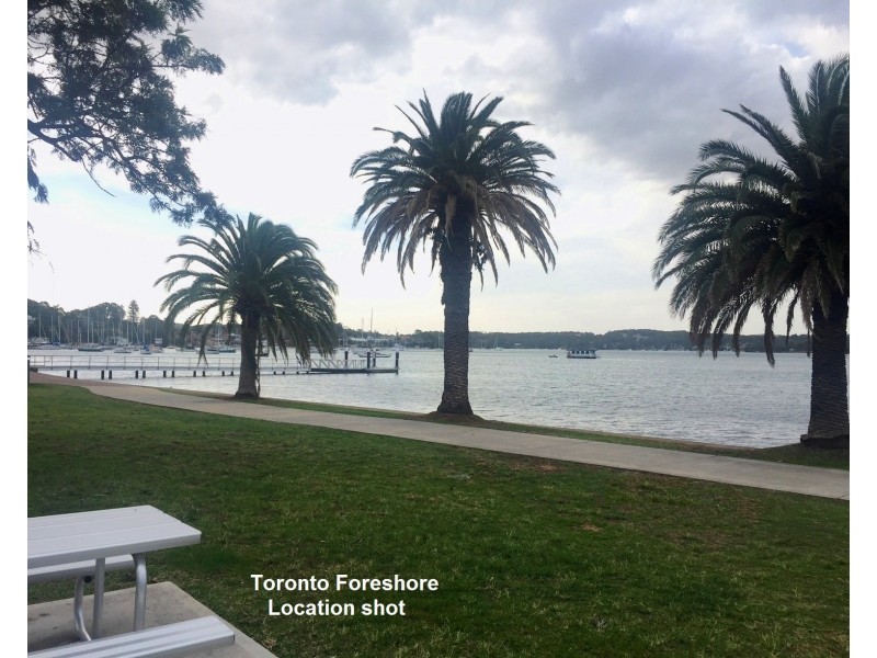 29 Cockatiel Street, Toronto NSW 2283