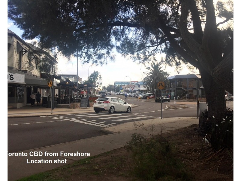 29 Cockatiel Street, Toronto NSW 2283