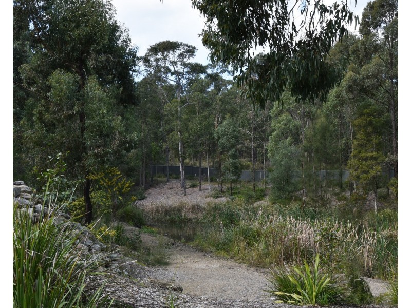 60 Constitution Drive, Cameron Park NSW 2285
