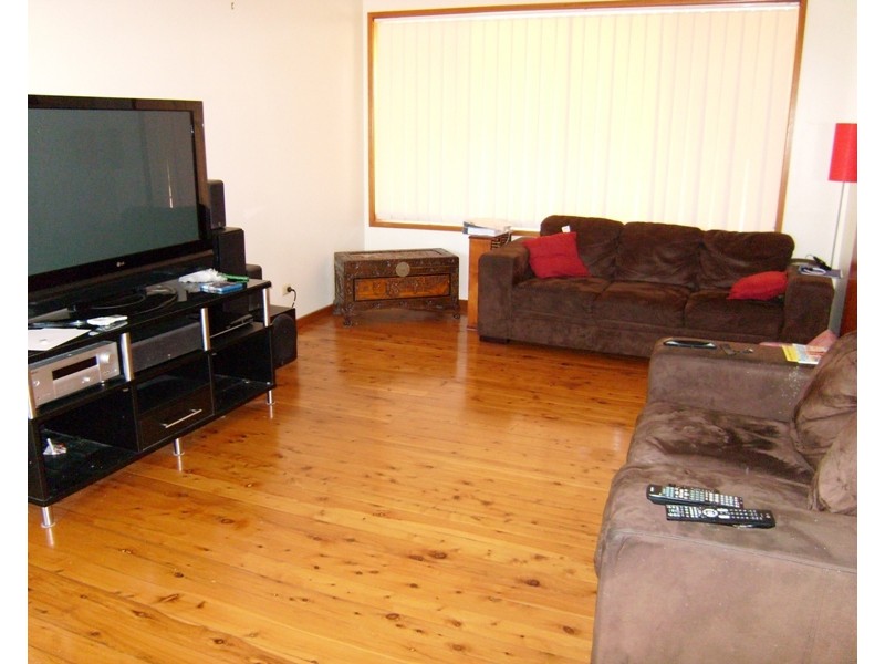 305 McCaffrey Drive, Rankin Park NSW 2287