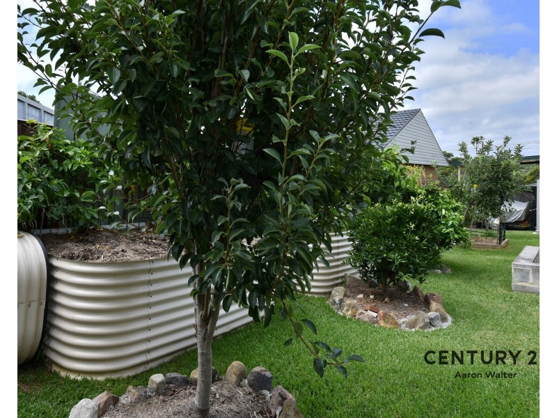 19 Codrington Street, Barnsley NSW 2278