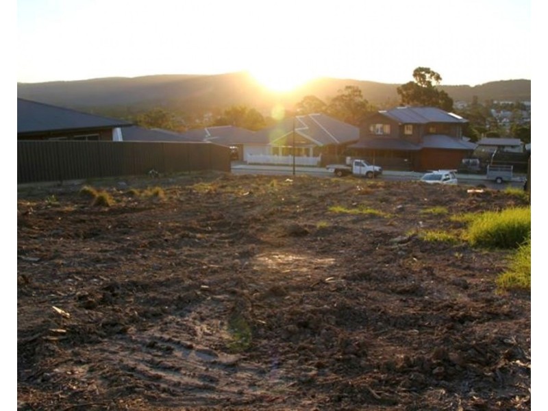 100 Royalty Street, West Wallsend NSW 2286