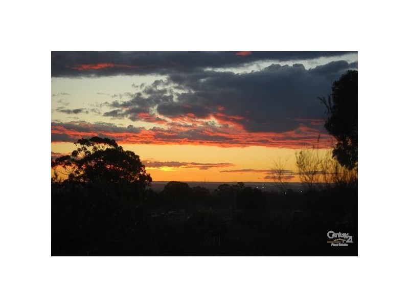 64 Rex Road, Georges Hall NSW 2198