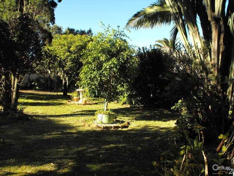 40 Simmat Ave, Condell Park NSW 2200