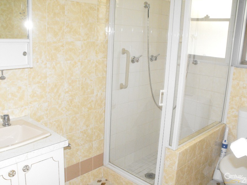 17 Birdsall Avenue, Condell Park NSW 2200