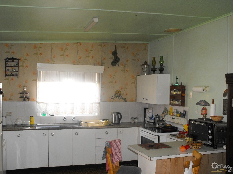 81 The Avenue, Bankstown NSW 2200