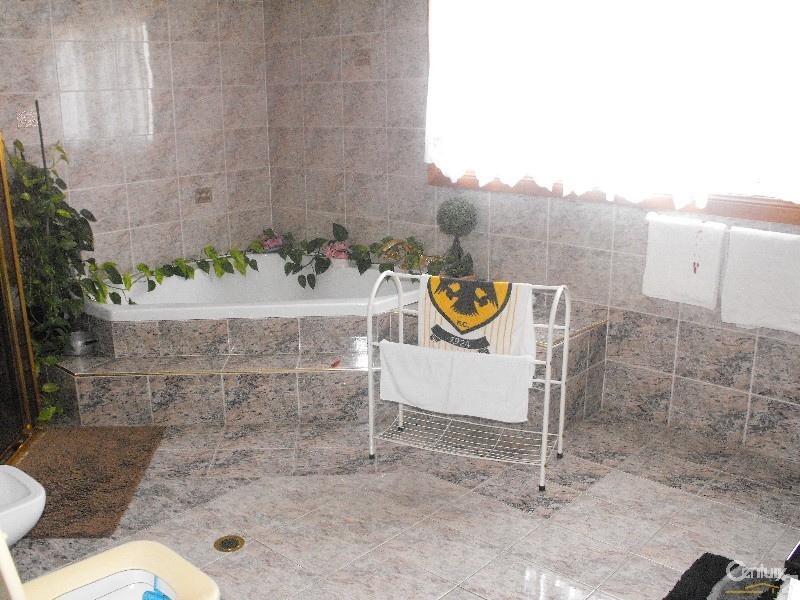 56 Taylor Street, Condell Park NSW 2200