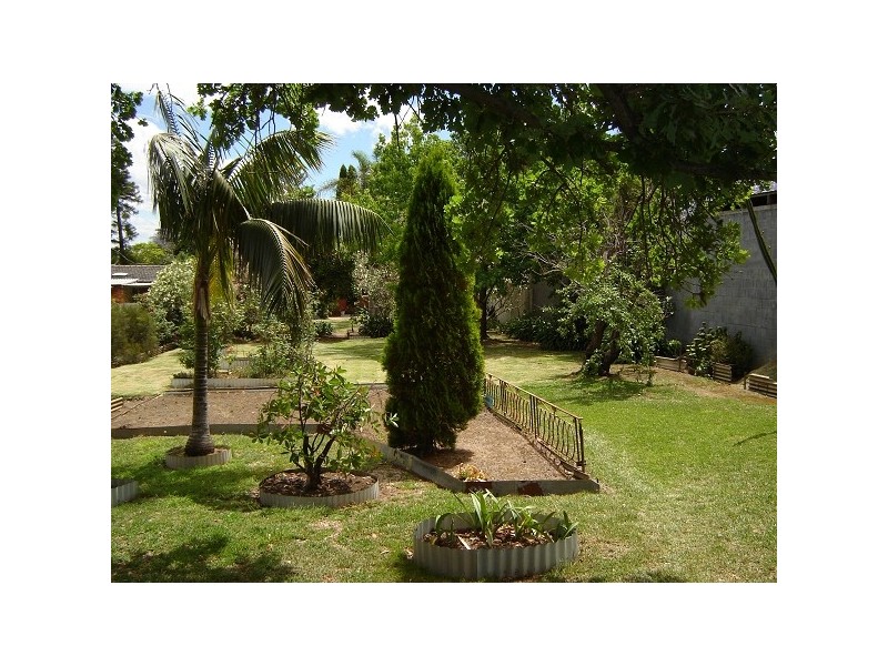 15 Ellis St, Condell Park NSW 2200