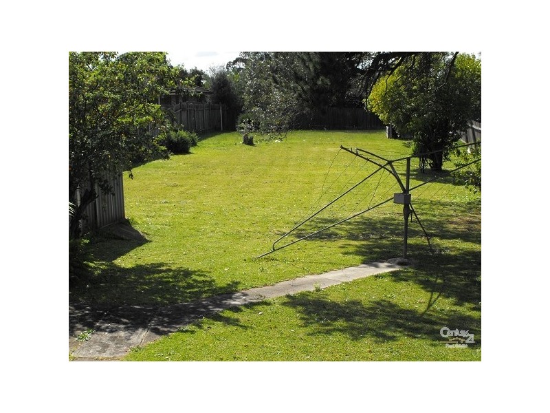 56 OLIVE ST,, Condell Park NSW 2200