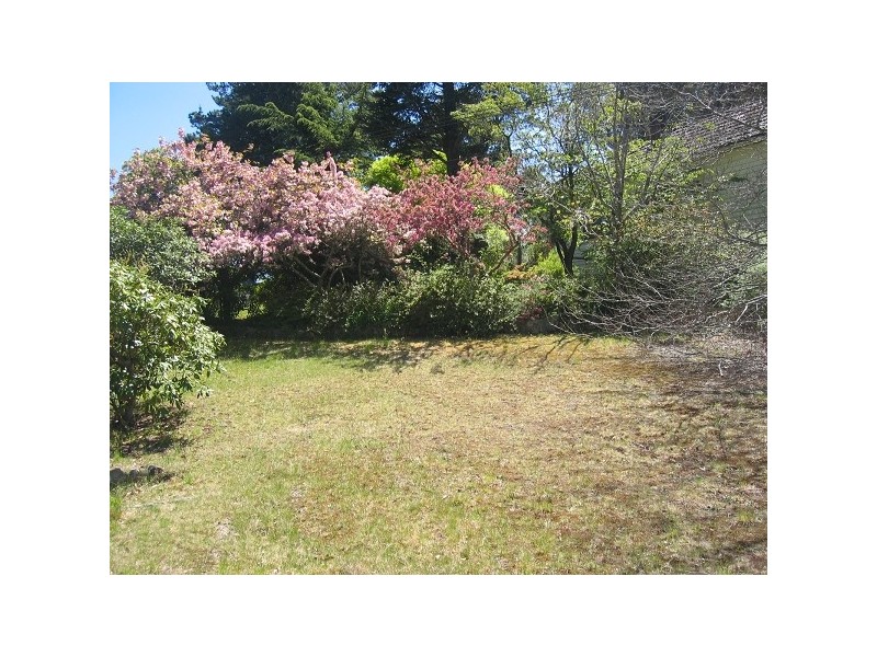 10 Shillington Street, Blackheath NSW 2785