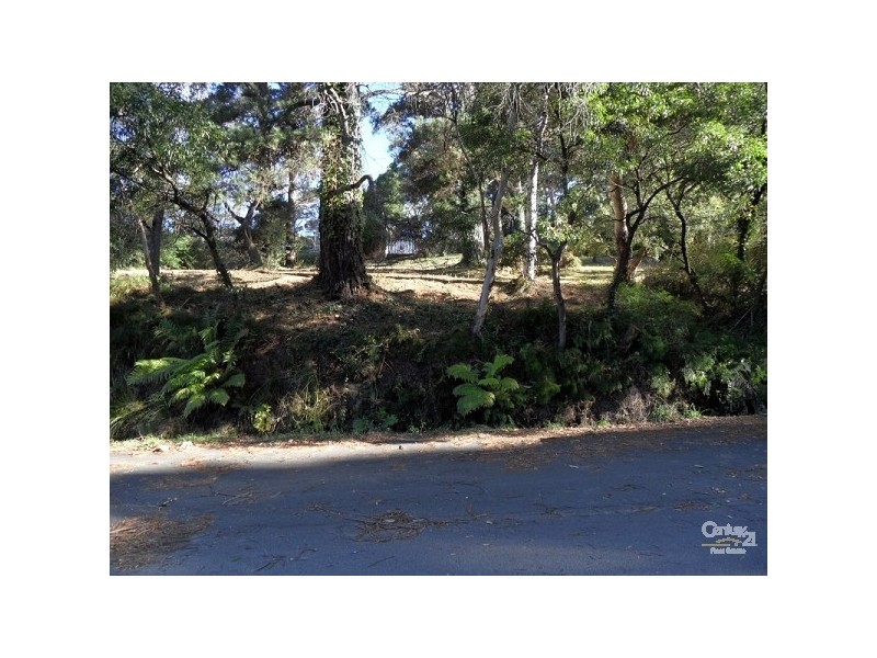 24 Gardiner Crescent, Blackheath NSW 2785