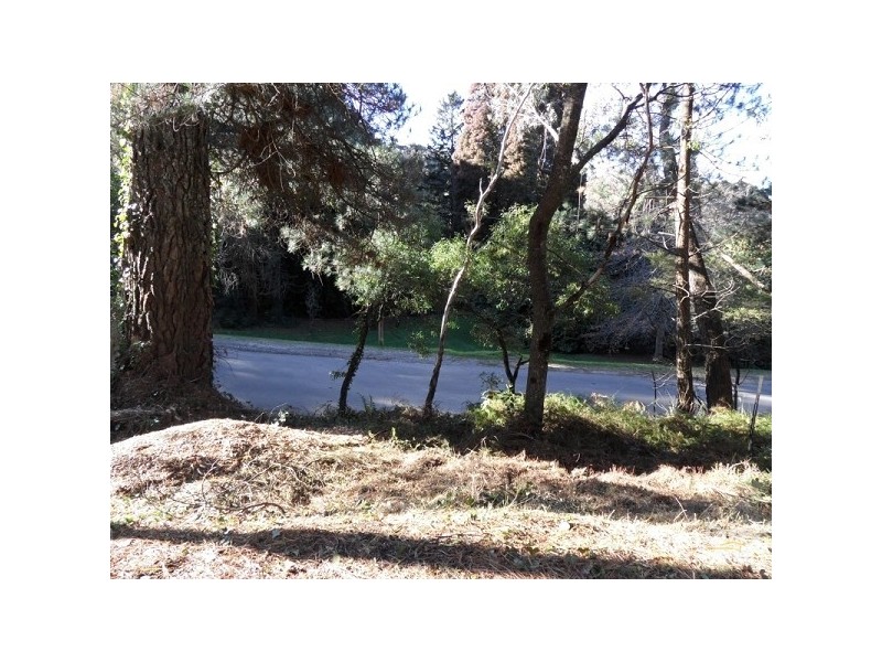 24 Gardiner Crescent, Blackheath NSW 2785