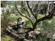 Katoomba NSW 2780
