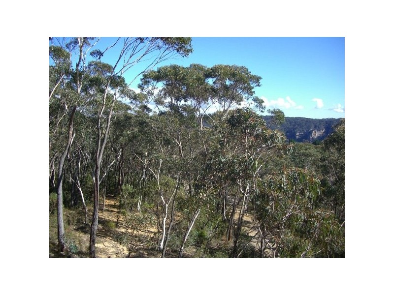 125 Narrow Neck Road, Katoomba NSW 2780