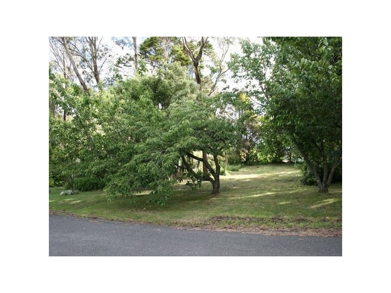 34 Cedar Street, Katoomba NSW 2780