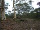 Leura NSW 2780