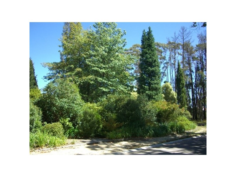 14 Station Street, Medlow Bath NSW 2780