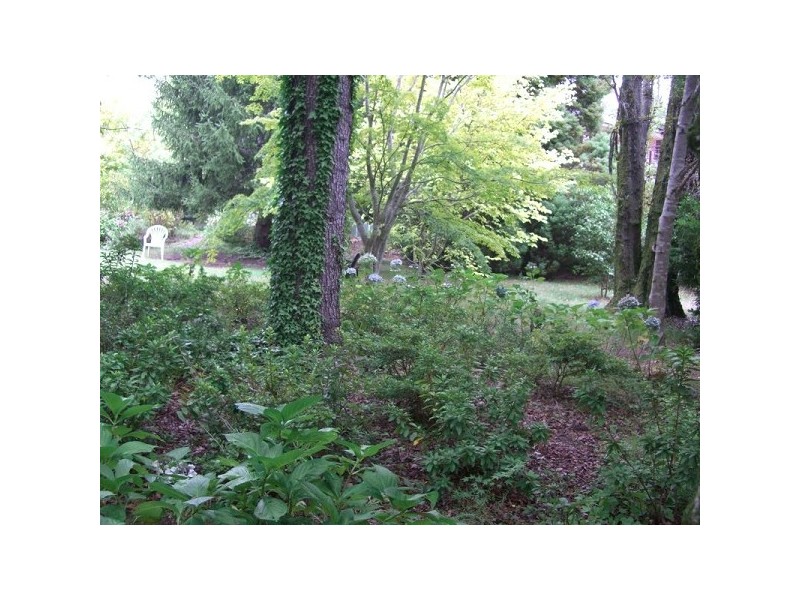 14 Station Street, Medlow Bath NSW 2780