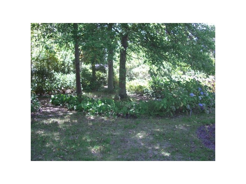 14 Station Street, Medlow Bath NSW 2780