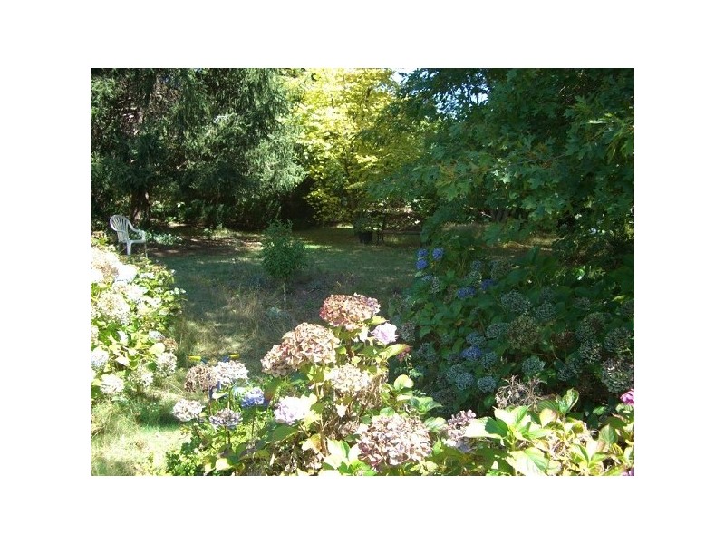 14 Station Street, Medlow Bath NSW 2780