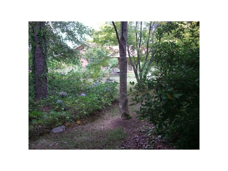 14 Station Street, Medlow Bath NSW 2780