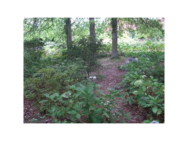 14 Station Street, Medlow Bath NSW 2780